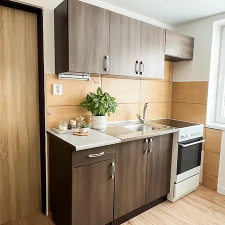 Nadštandardný S Terasou