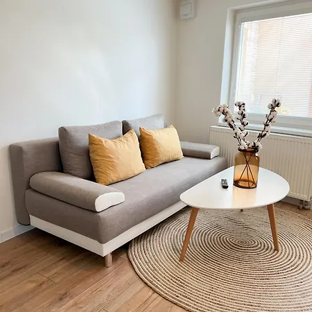 Nadštandardný S Terasou Apartmán Tisovec