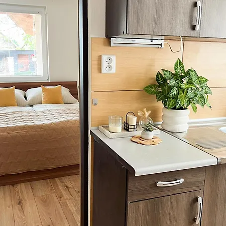 Nadstandardny S Terasou * Tisovec